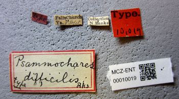 Media type: image;   Entomology 10019 Aspect: lbsa